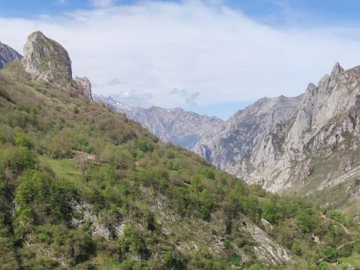 La Casina De Tielve De Cabrales Dentro Del Parque Nacional Picos De Europa Villa Eksteriør billede