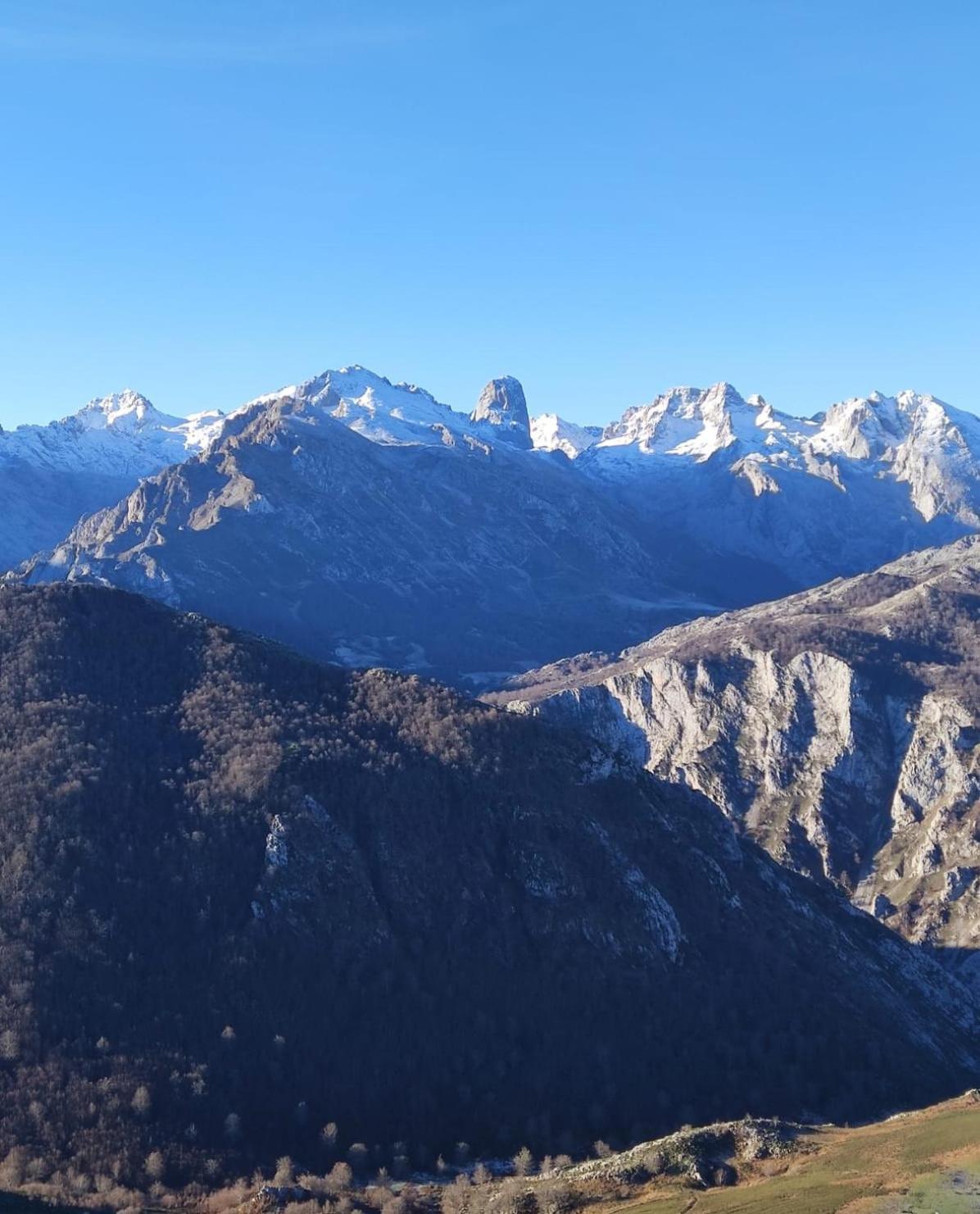 La Casina De Tielve De Cabrales Dentro Del Parque Nacional Picos De Europa Villa Eksteriør billede
