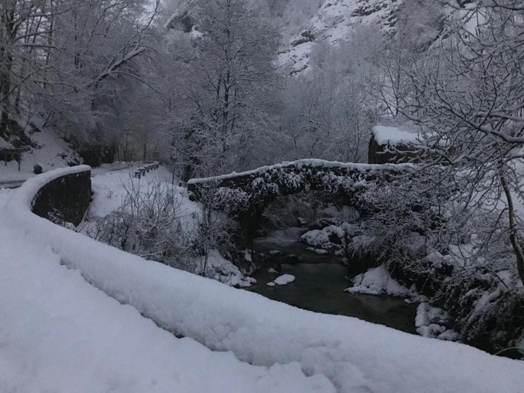 La Casina De Tielve De Cabrales Dentro Del Parque Nacional Picos De Europa Villa Eksteriør billede