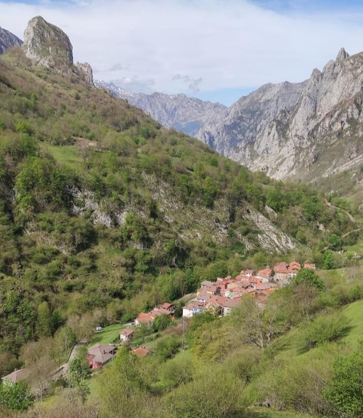 La Casina De Tielve De Cabrales Dentro Del Parque Nacional Picos De Europa Villa Eksteriør billede